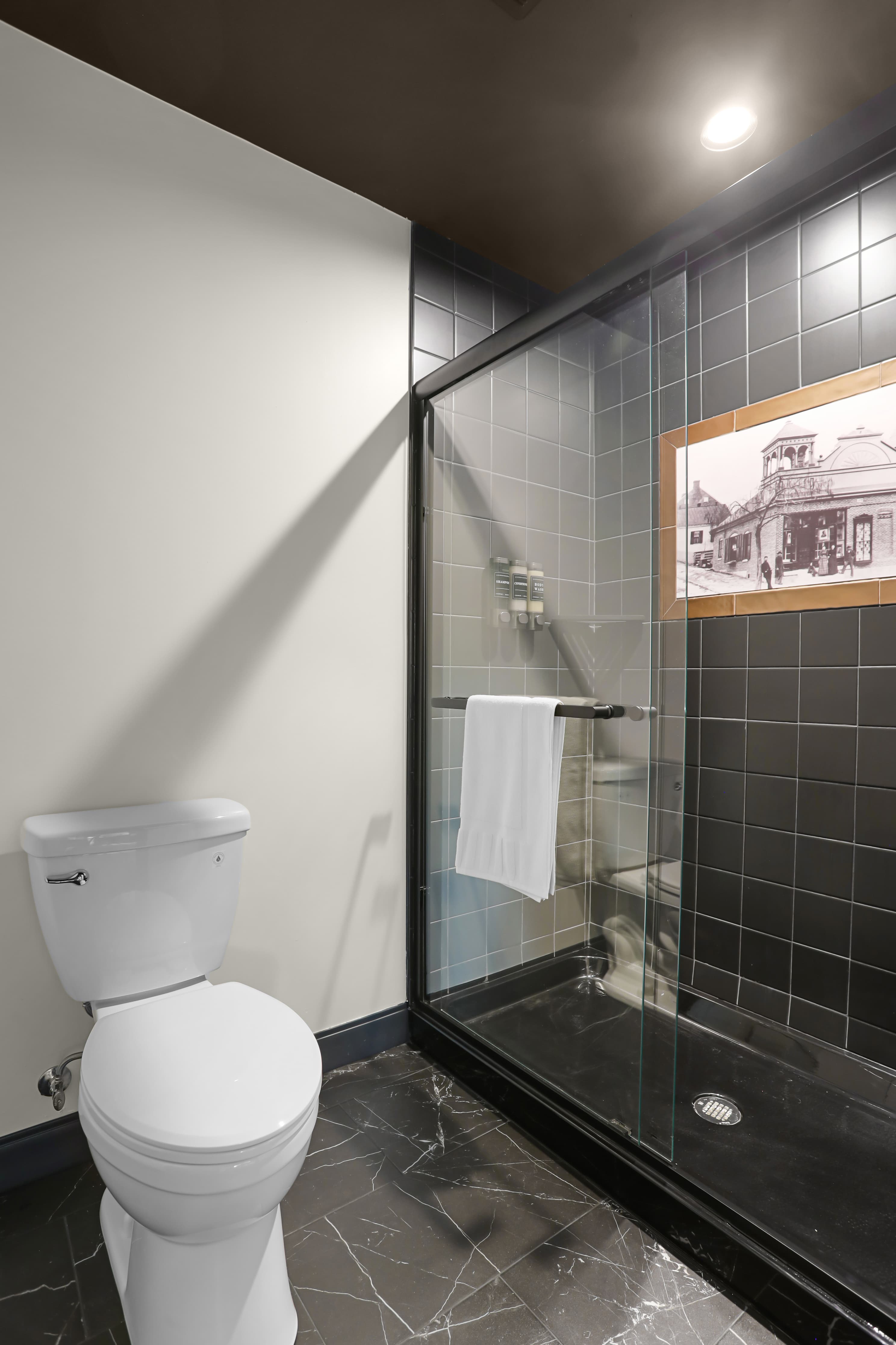 A modern bathroom featuring a toilet, glass shower, and a framed photo on the wall.