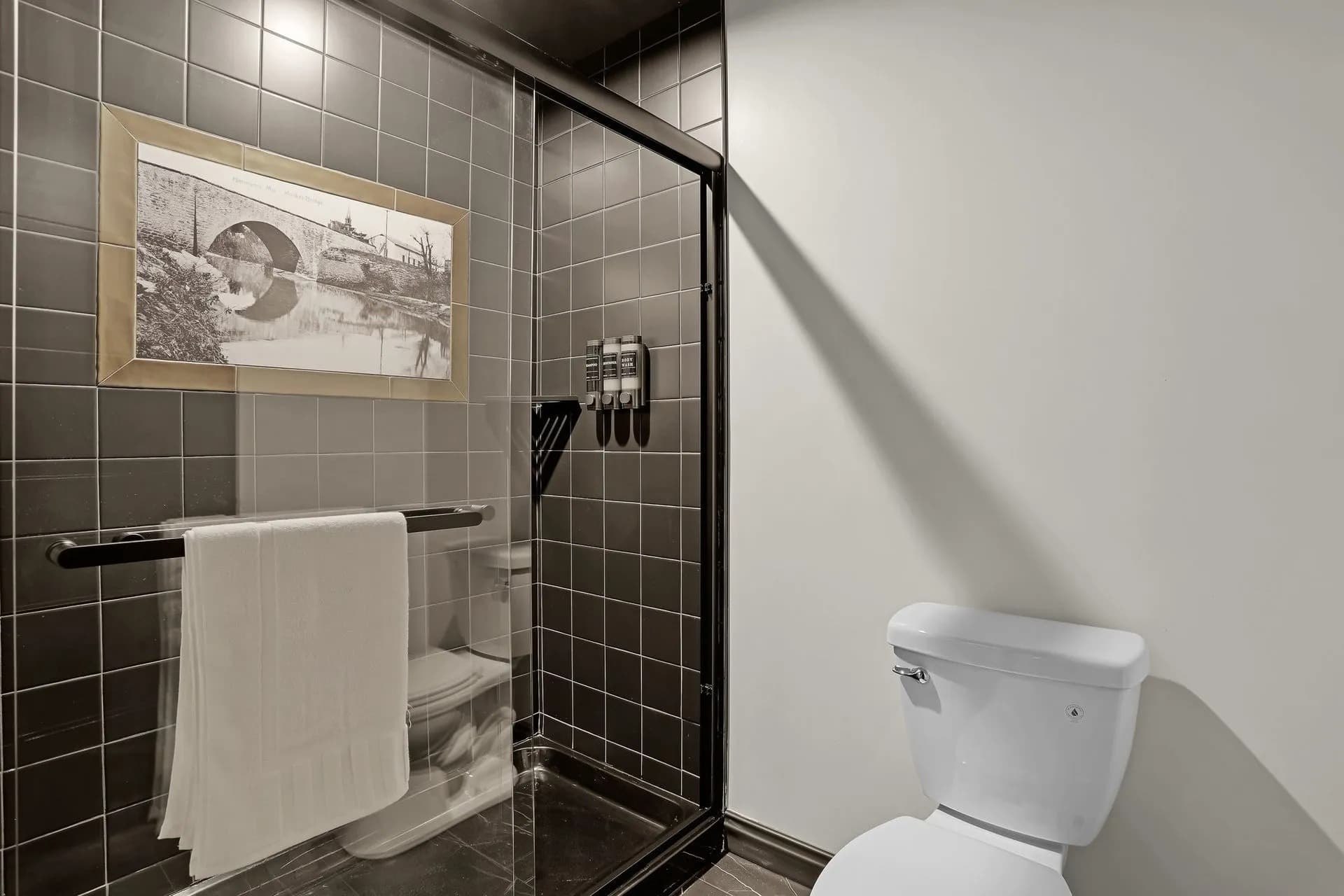 Sleek bathroom featuring a glass shower, toilet, and a framed picture on the wall.