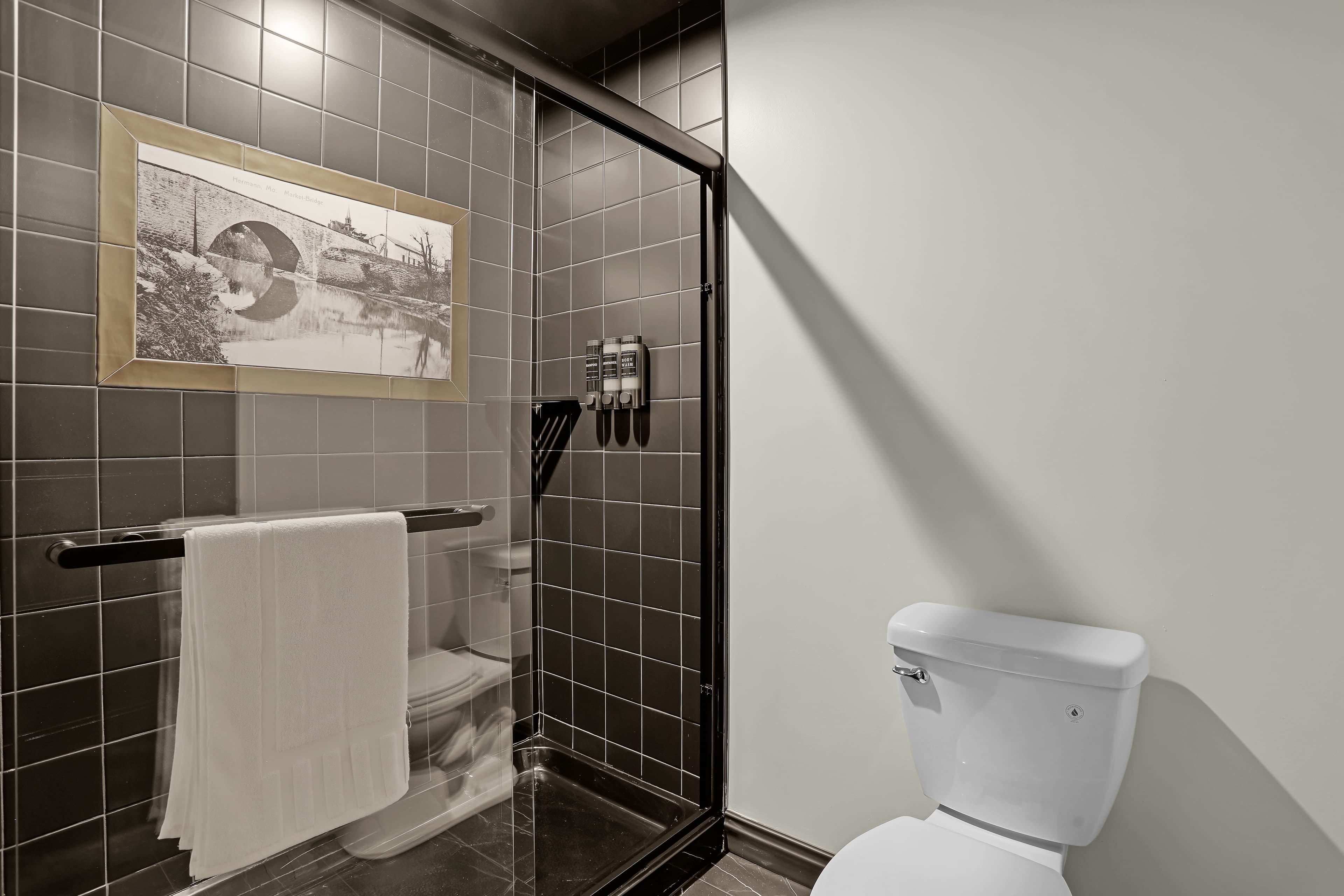 A modern bathroom featuring a shower enclosure, toilet, and a framed photo on the wall.